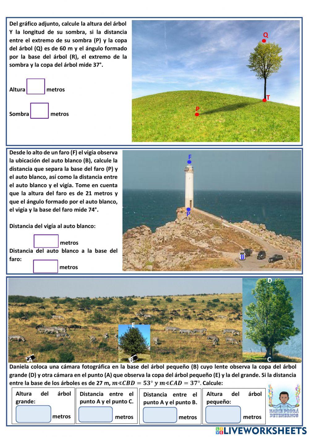 Triángulos Notables Problemas