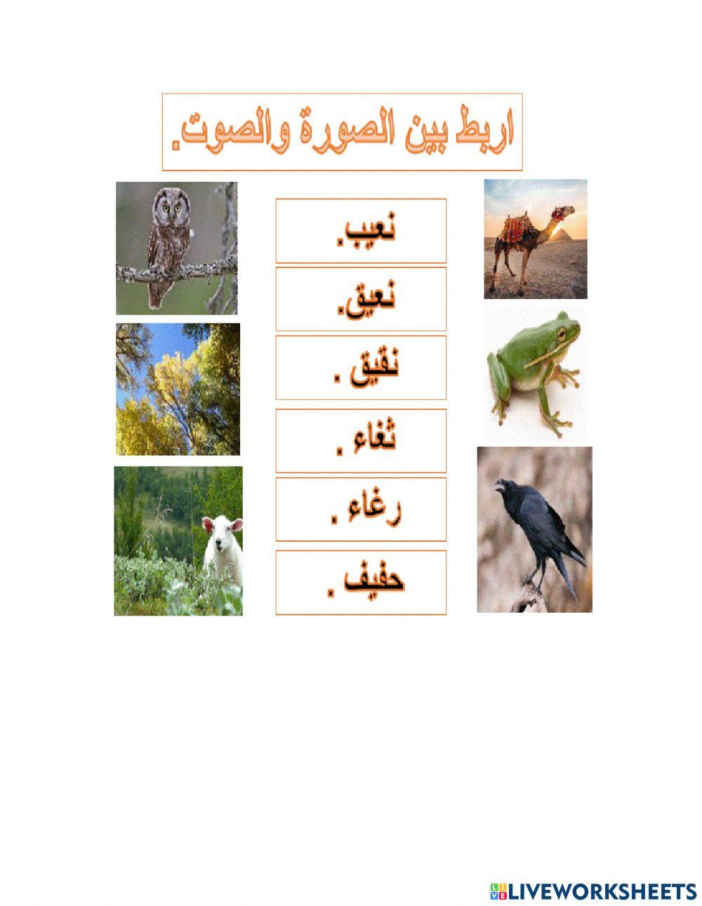 أصوات الحيوانات