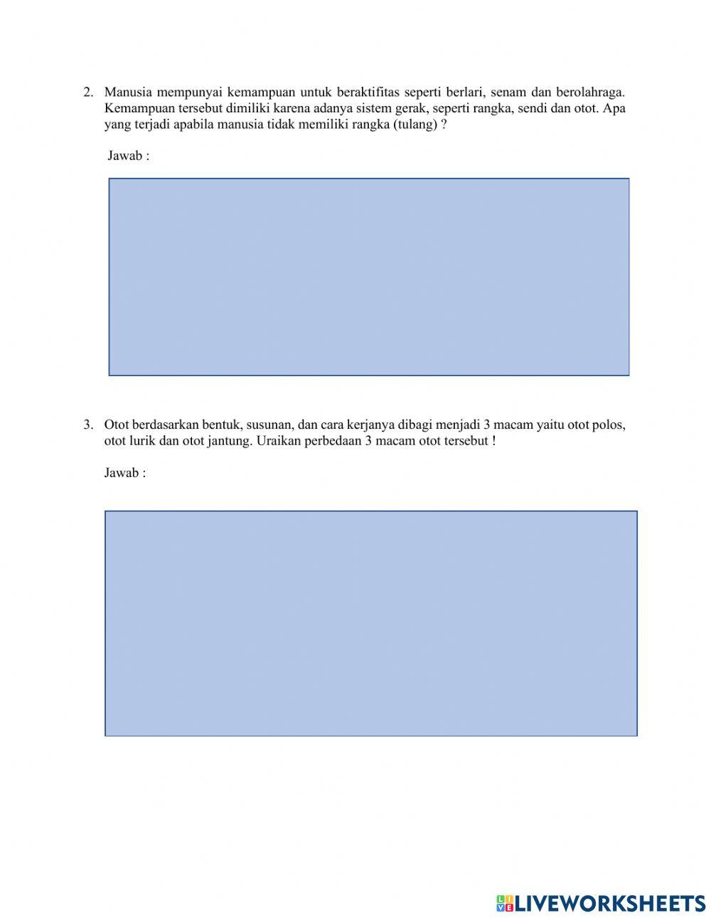 Soal ulangan harian sistem gerak manusia