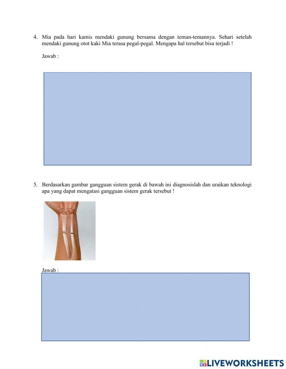 Soal ulangan harian sistem gerak manusia