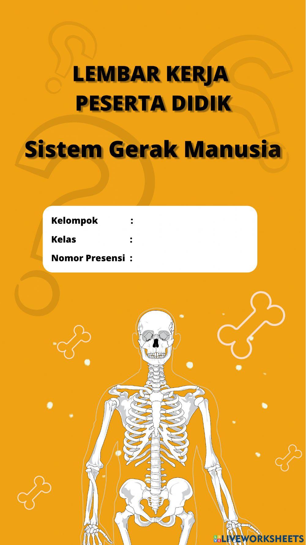 Lkpd sistem gerak manusia pertemuan 1