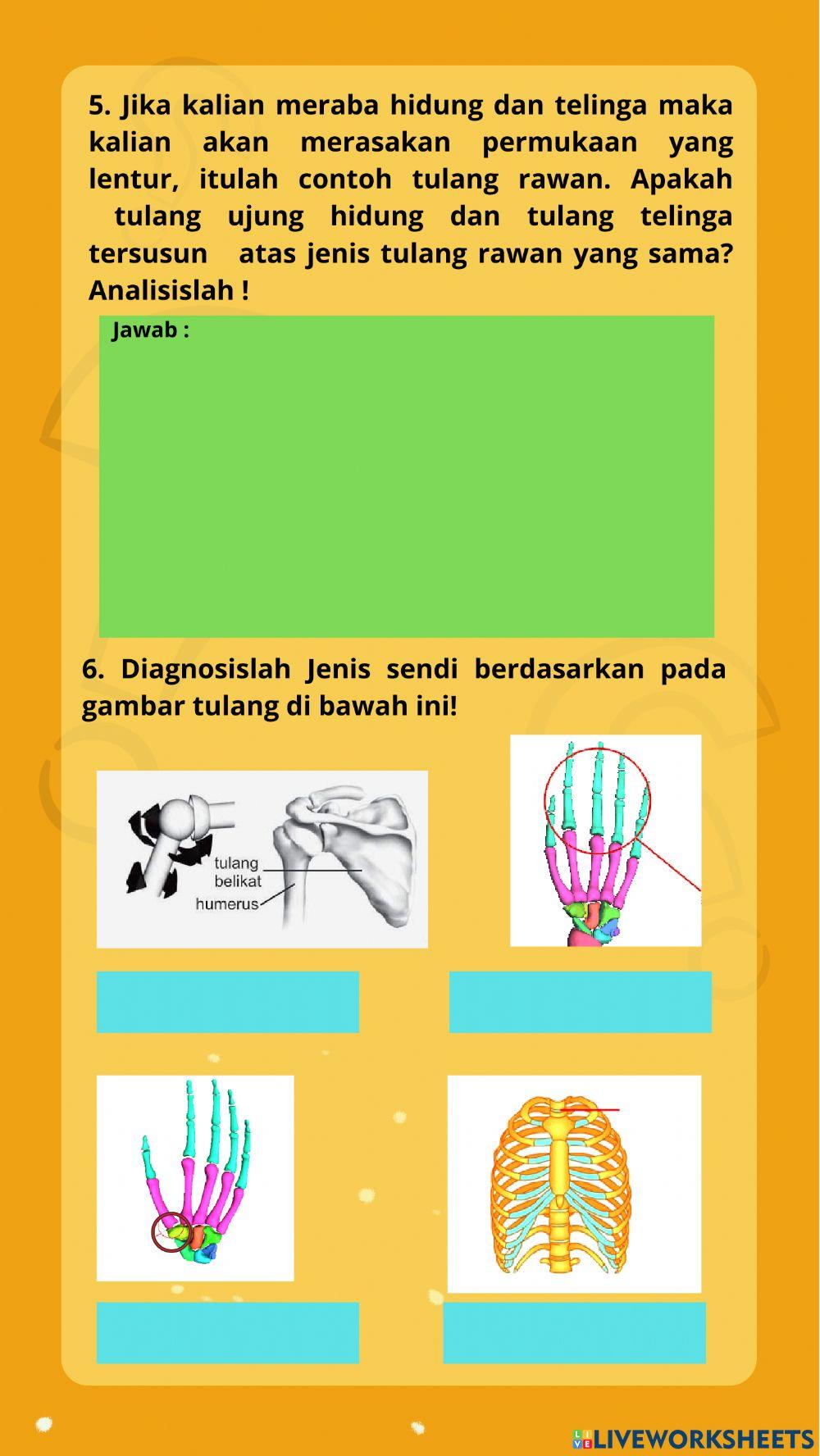 Lkpd sistem gerak manusia pertemuan 1