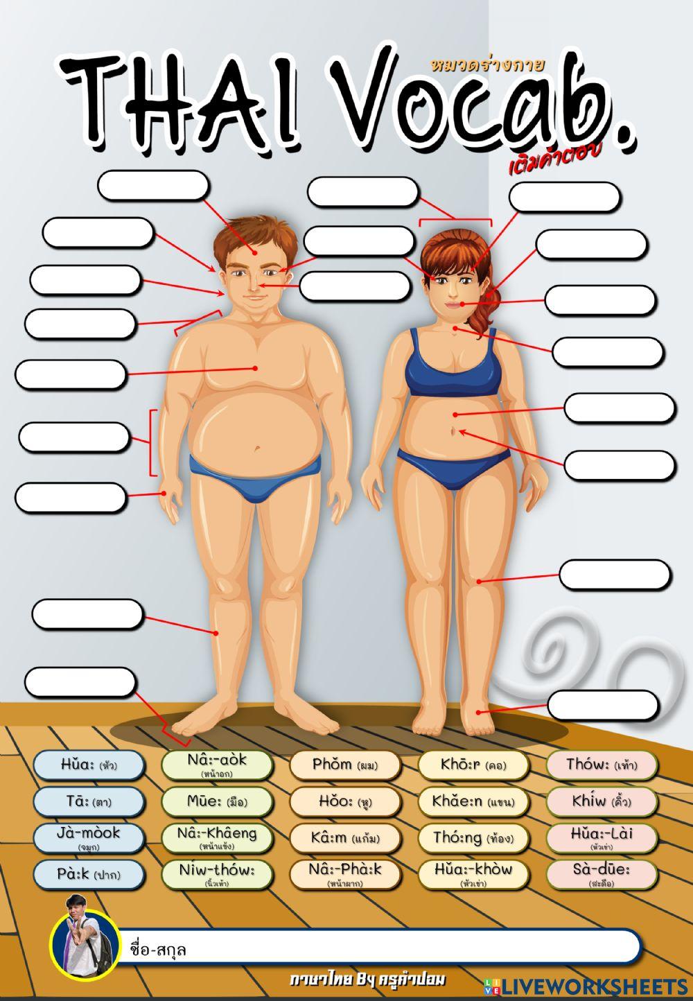 ใบงานเอมี่ 1