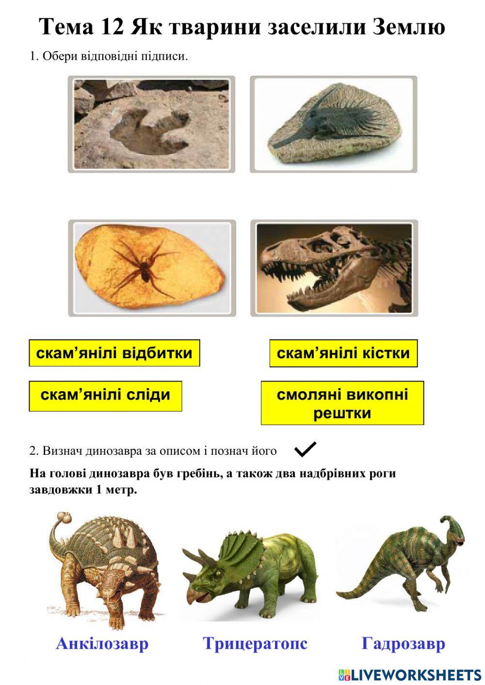 Як тварини заселили Землю