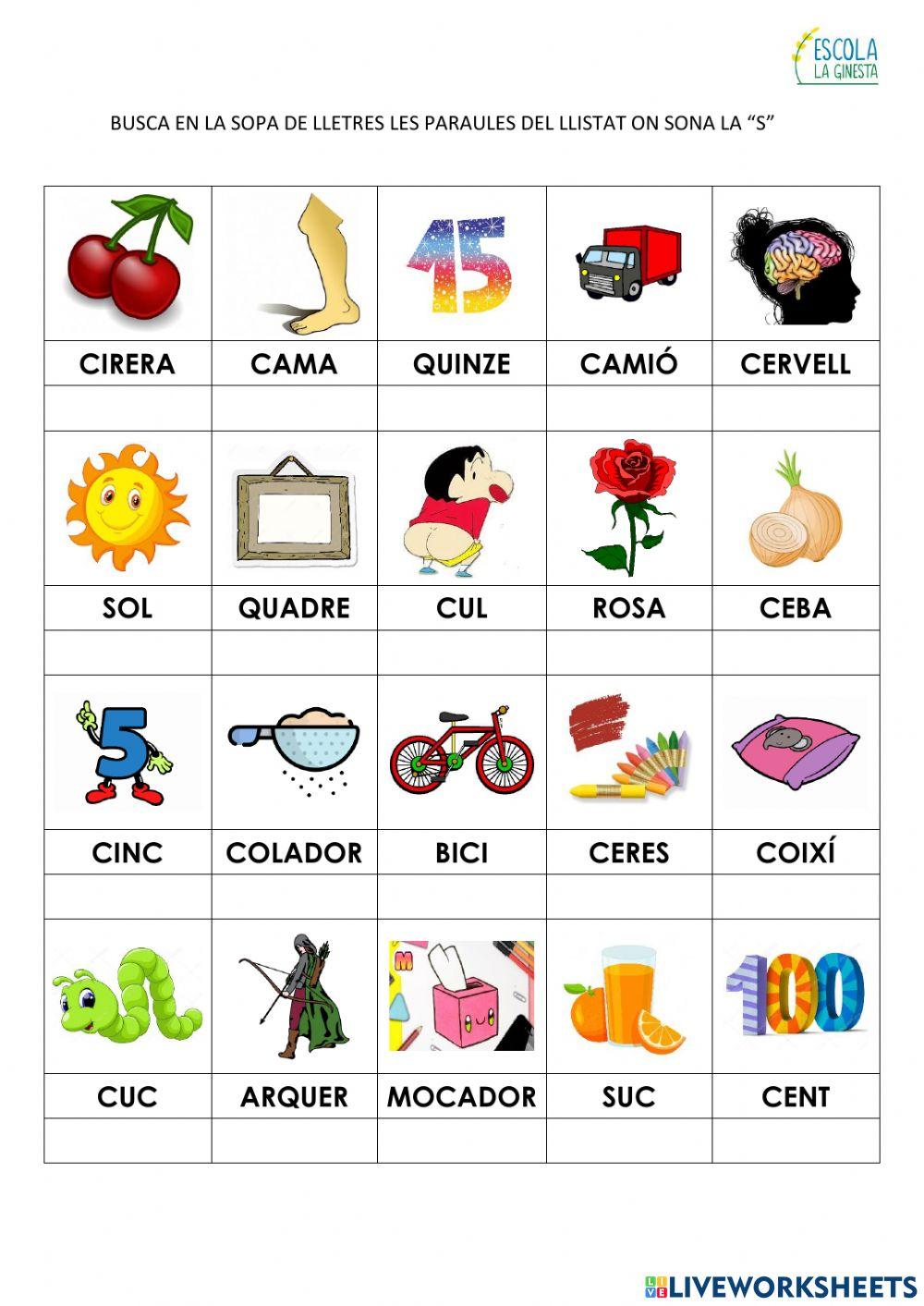 Paraules amb el so -S-