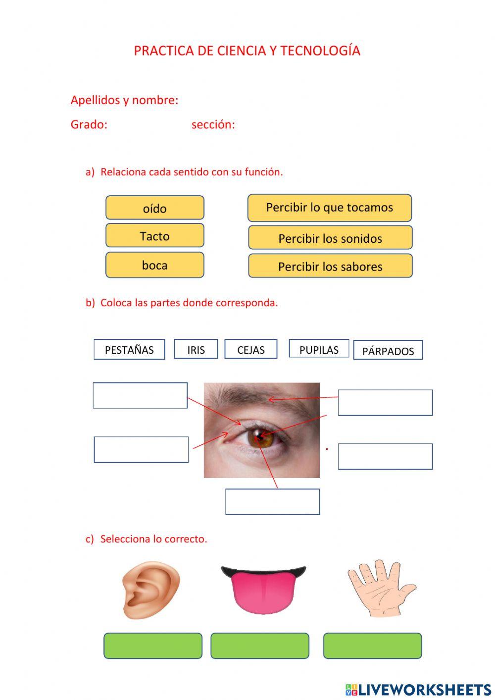 Practica de ciencia y tecnologia