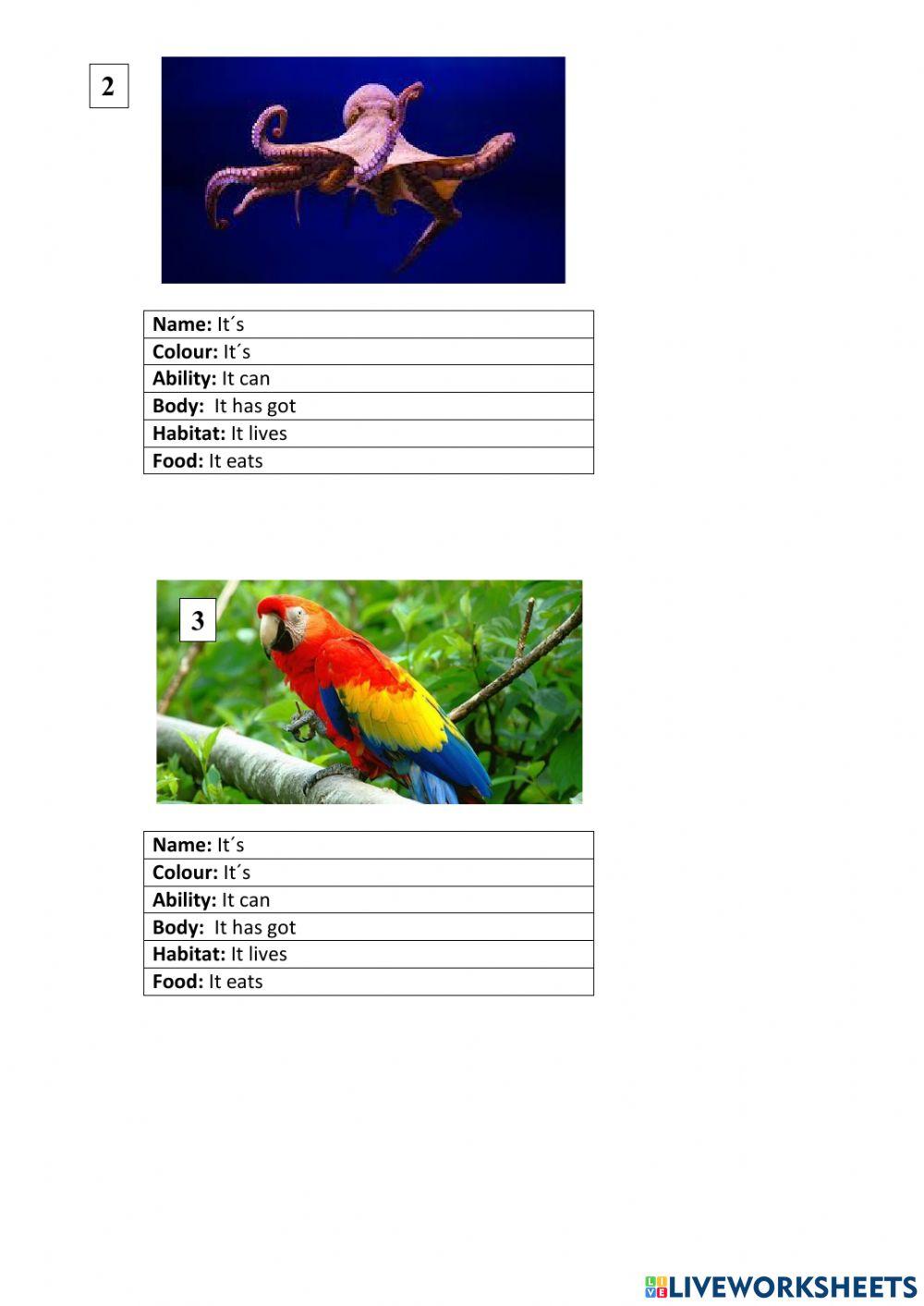 Medicion de Aprendizaje
