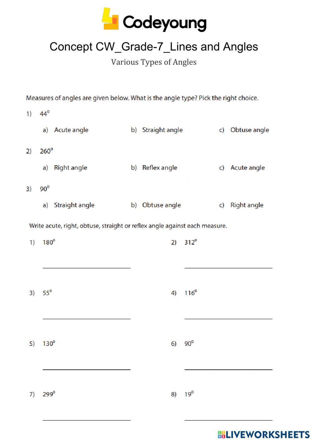Various Types of Angles Concept CW