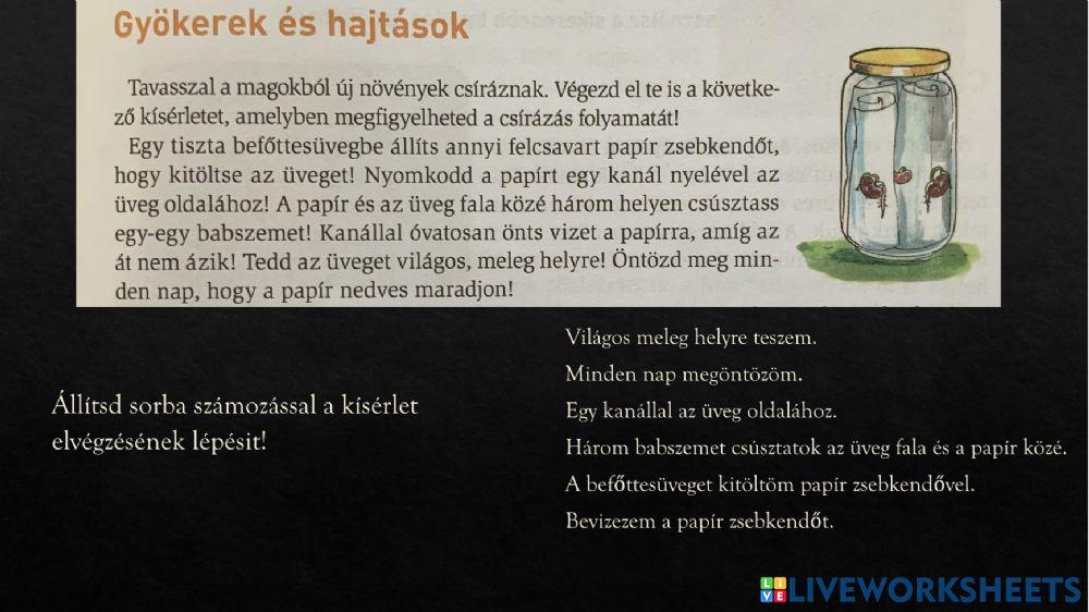 Gyökerek és hajtások - szövegértés