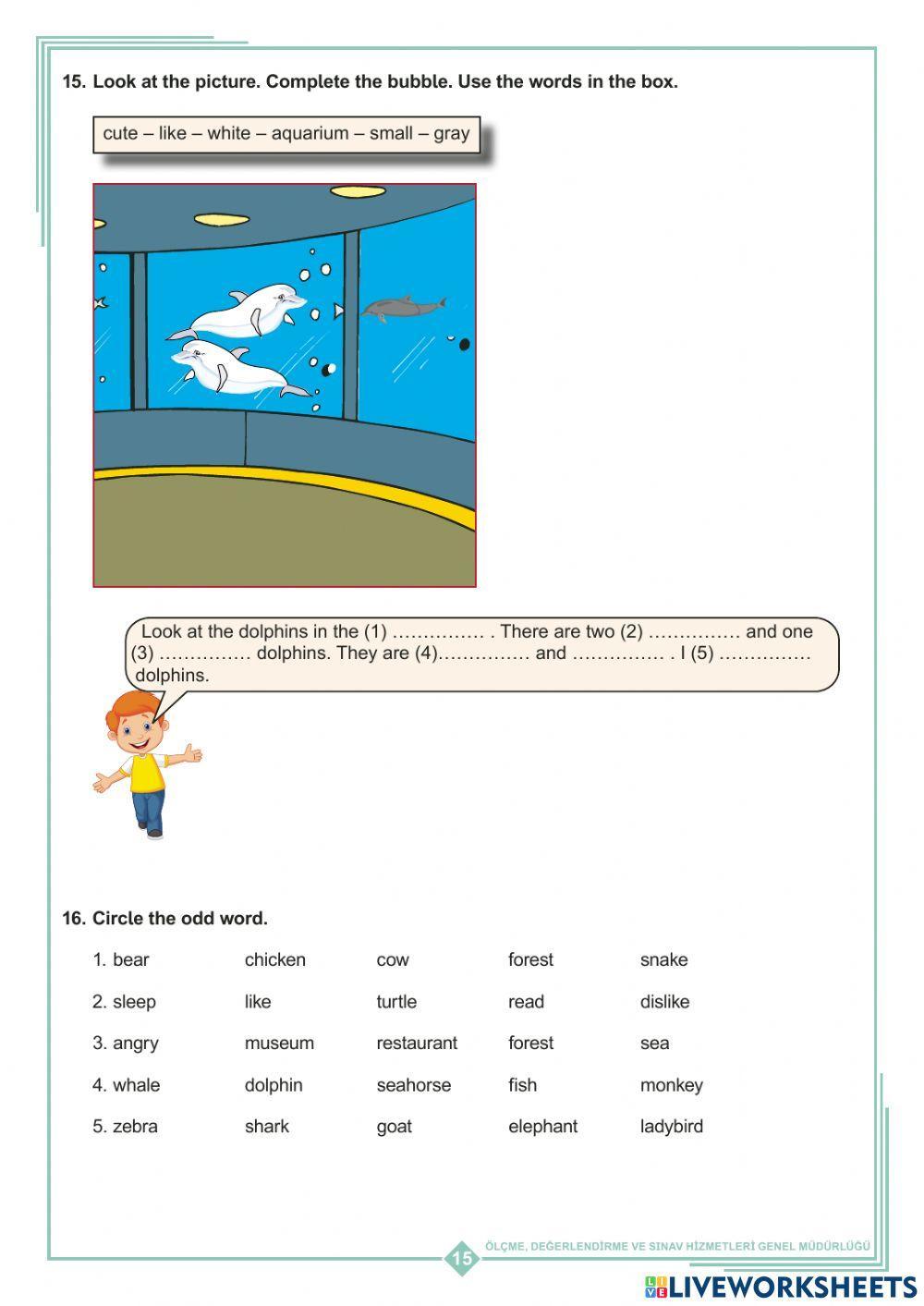 3rd Grade unit 10 Nature Study Fascicle Part 2