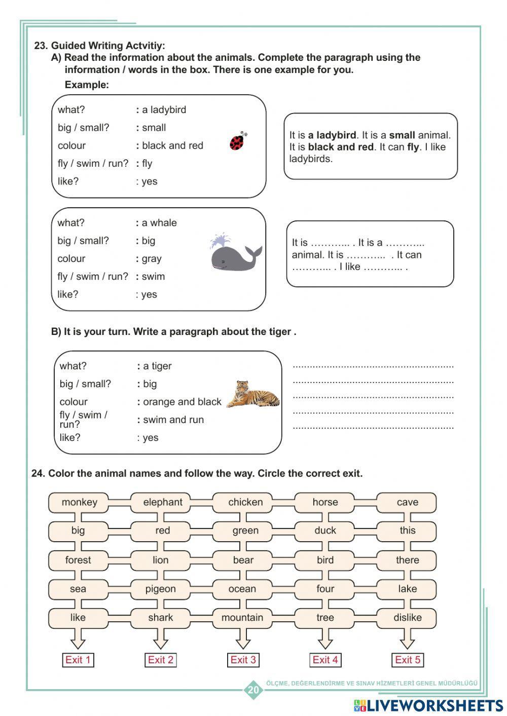 3rd Grade unit 10 Nature Study Fascicle Part 2