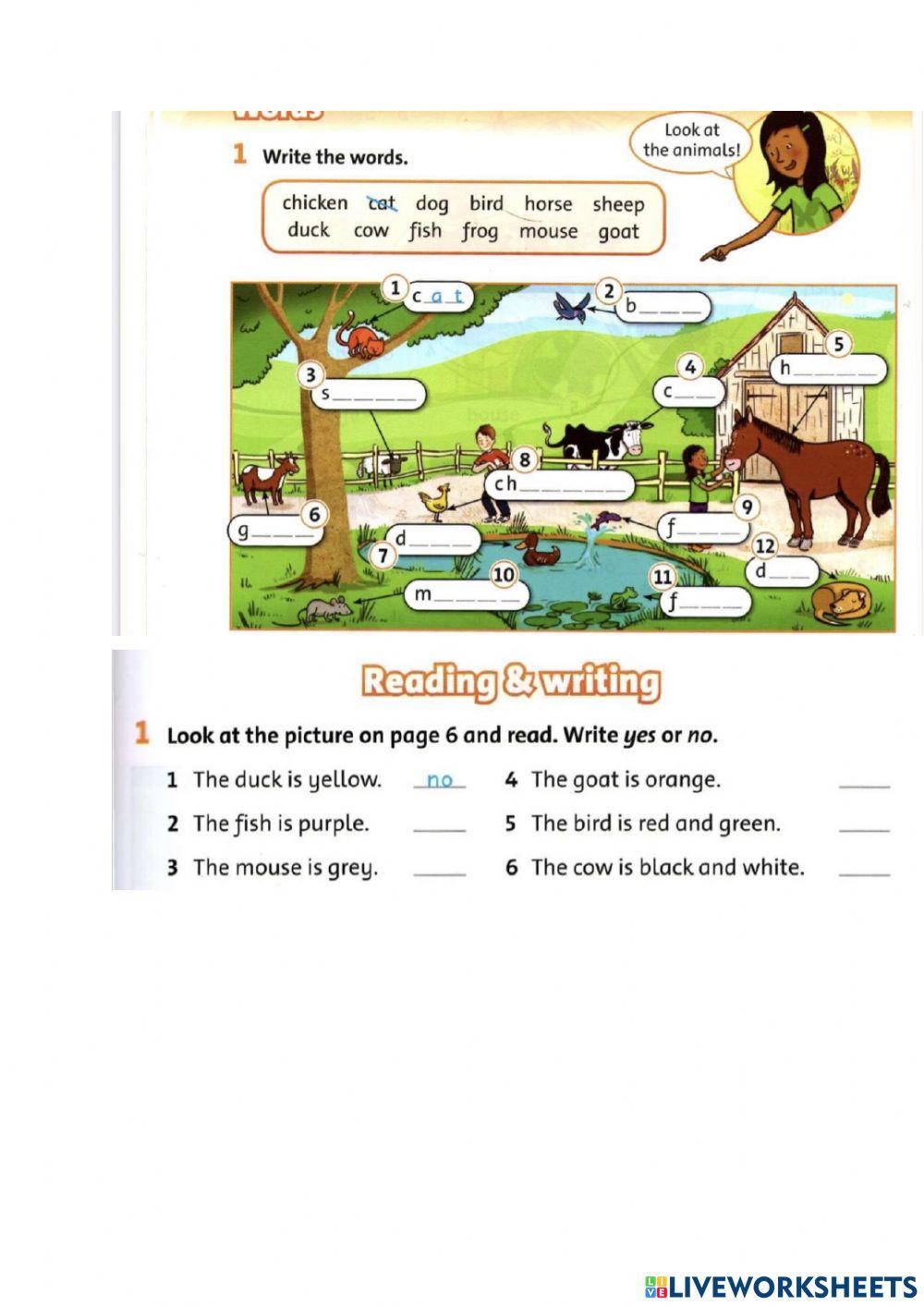 Farm Animals