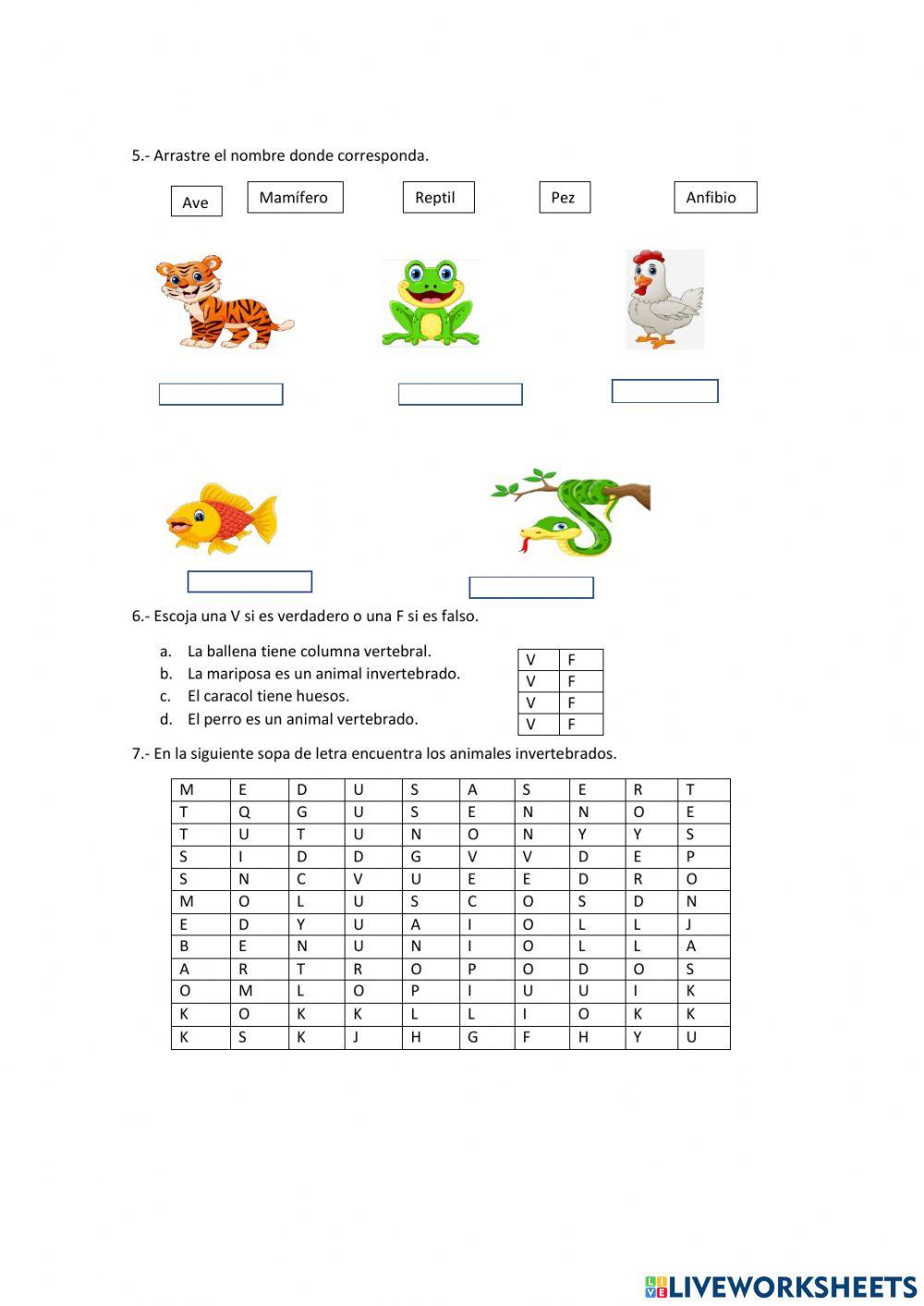 Animales vertebrados e invertebrados