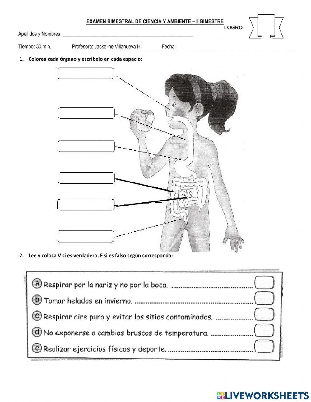 Prueba de Ciencia y Ambiente