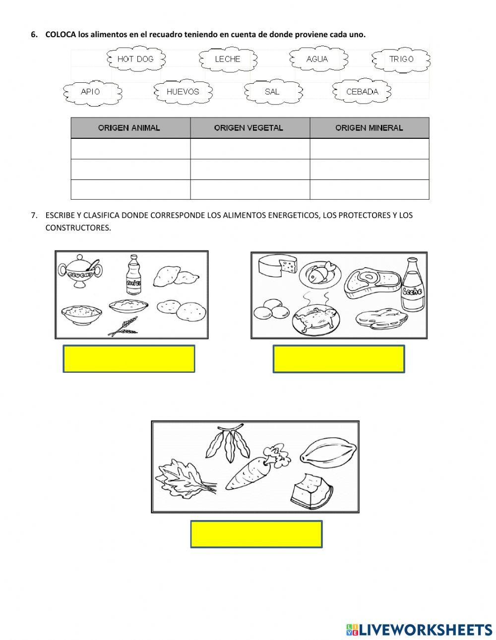 Prueba de Ciencia y Ambiente