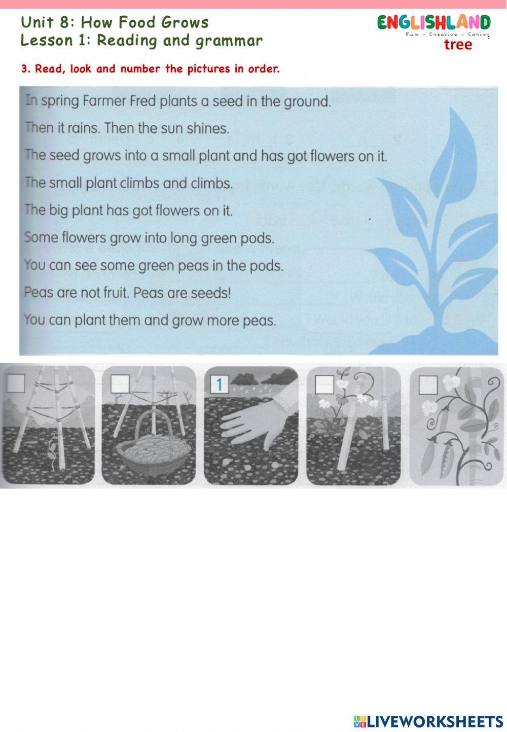 U8 L2 Reading and Grammar