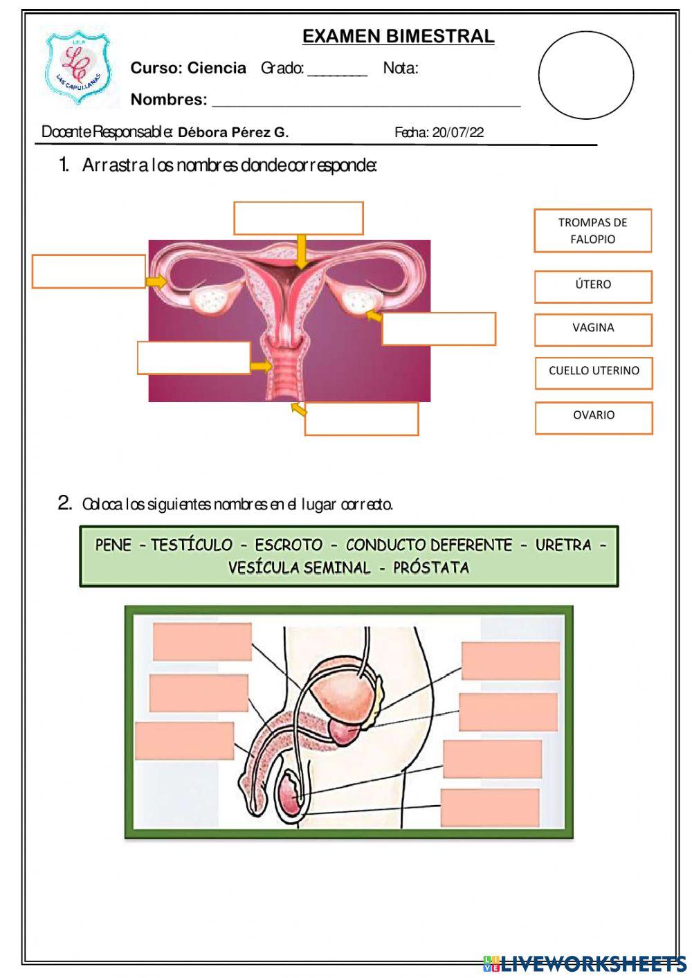 Examen de ciencia