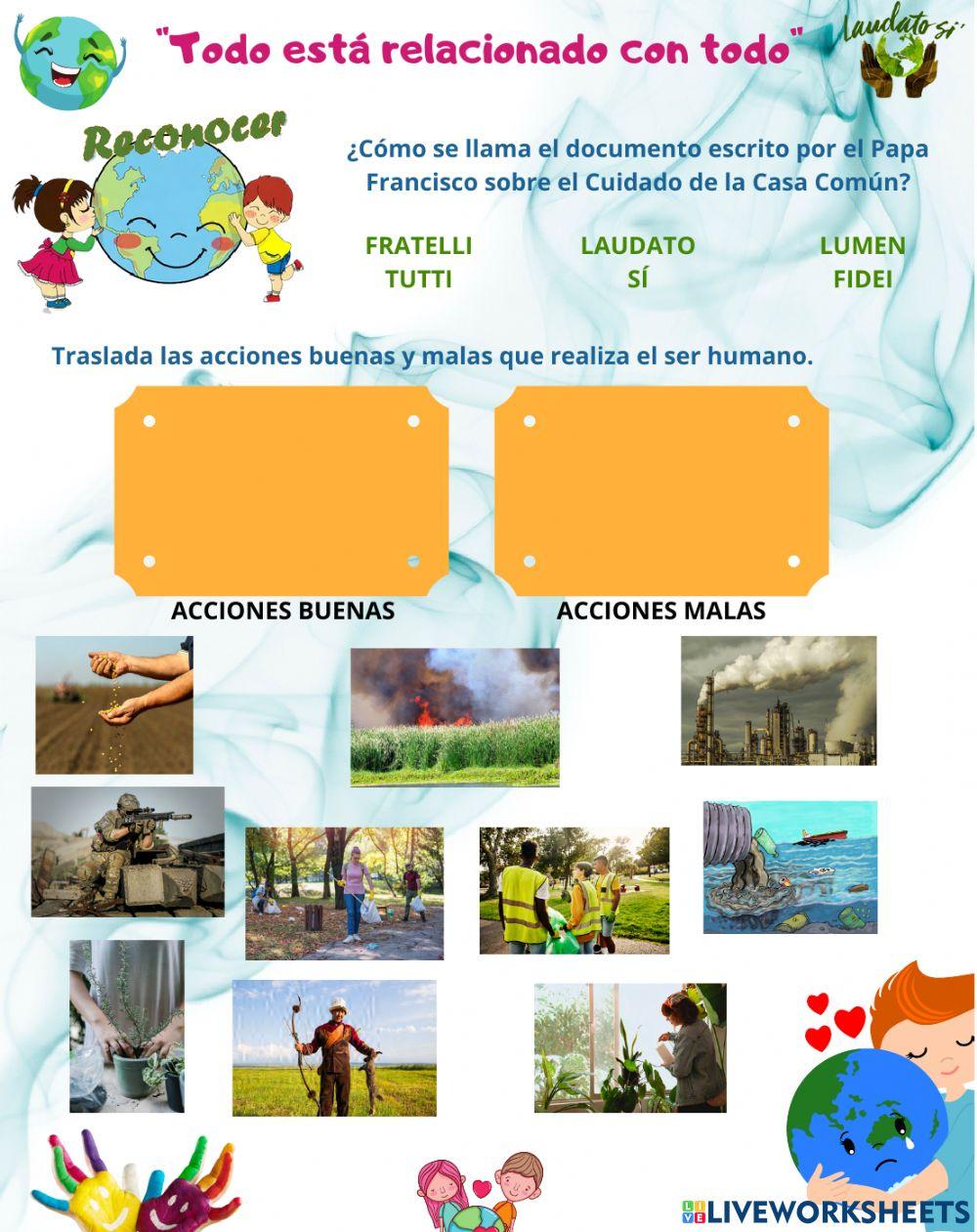 Ecología integral - hermanas fma