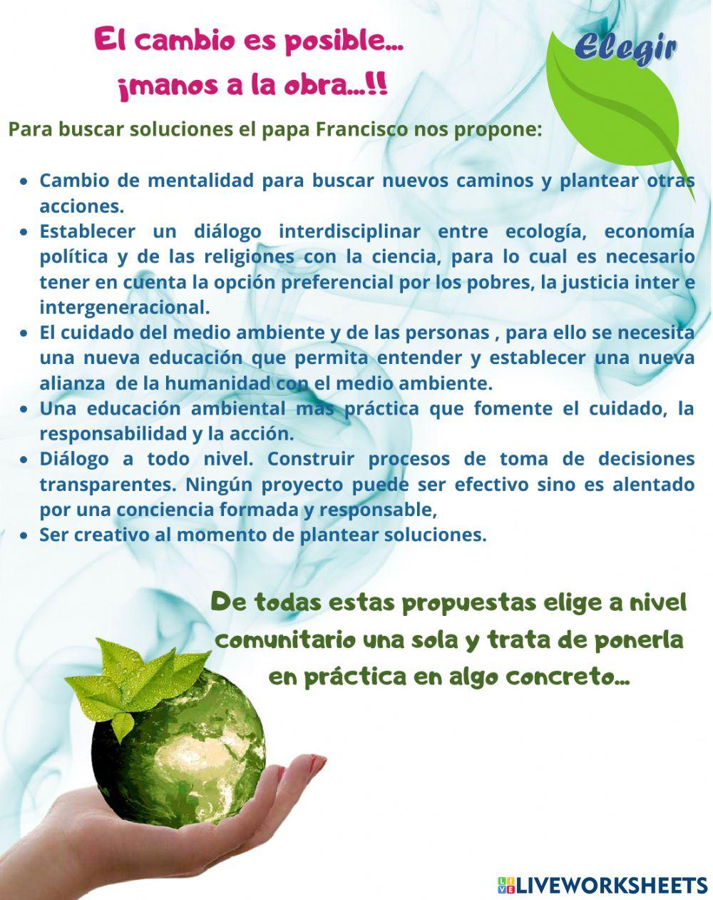 Ecología integral - hermanas fma