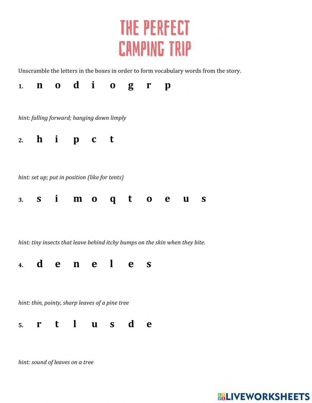 The perfect camping trip