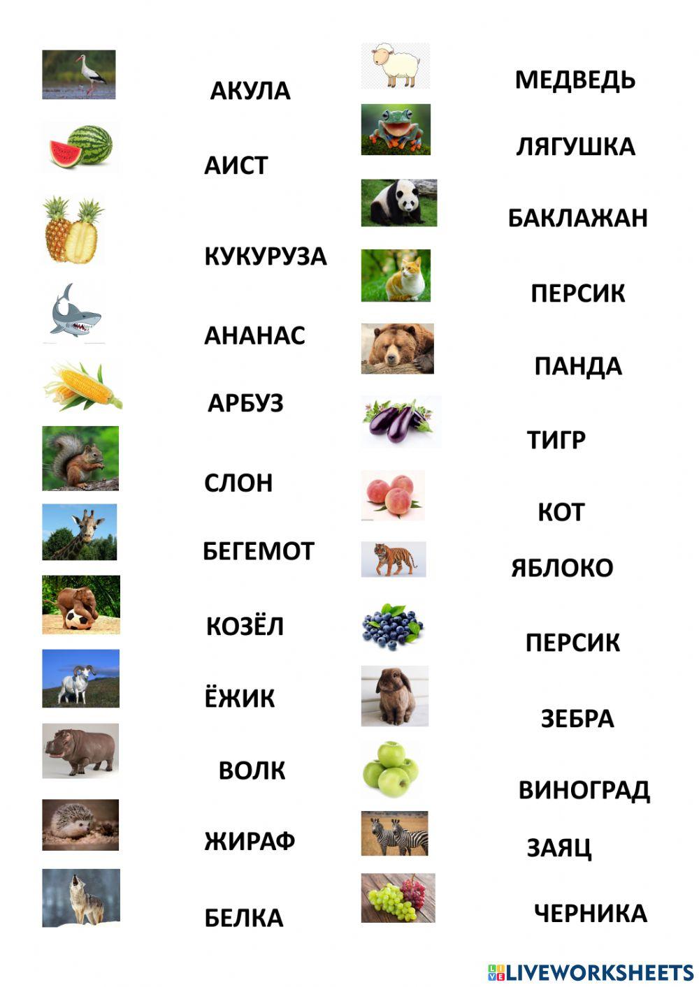 Животное и фрукты