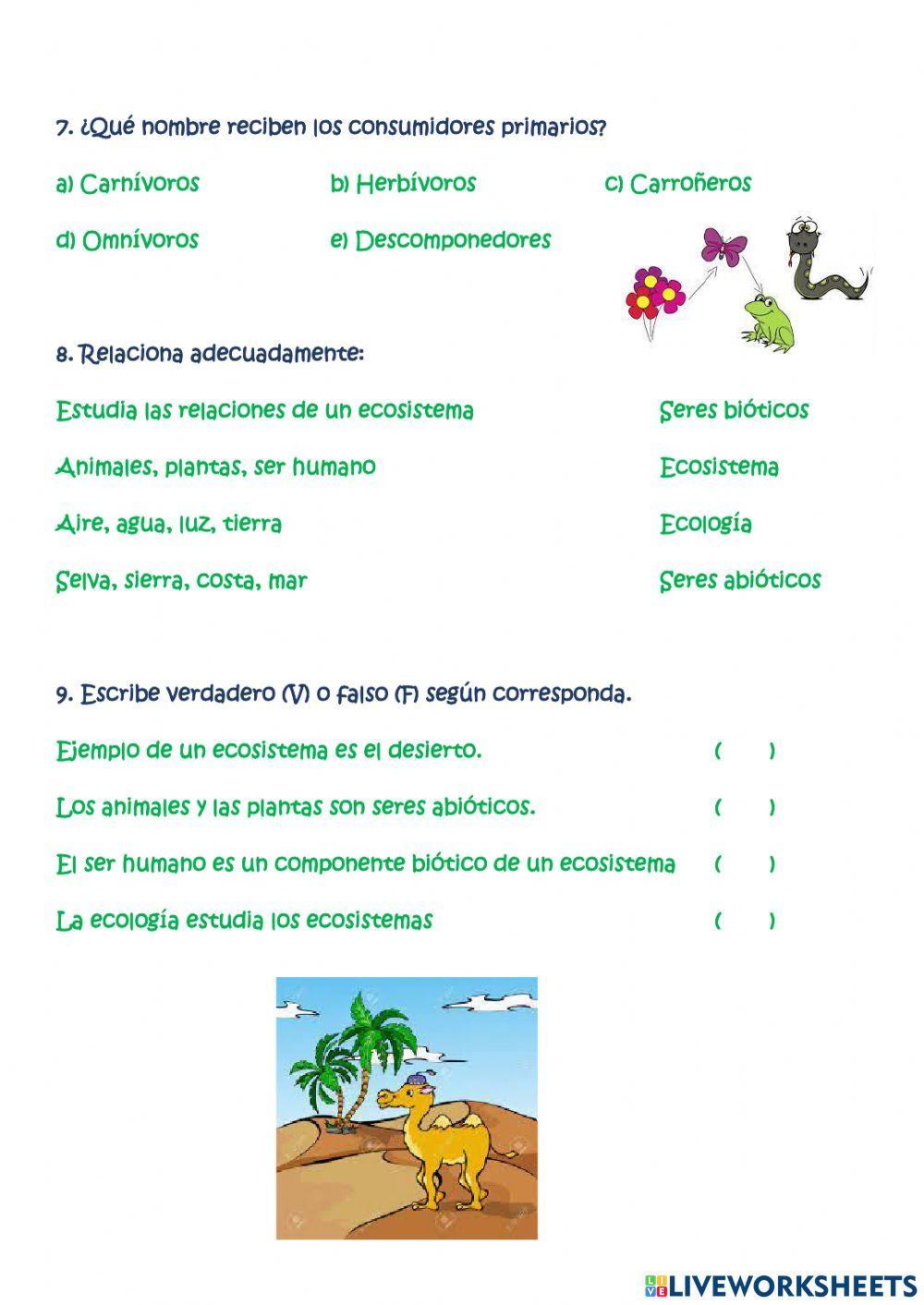 Evaluamos lo apendido