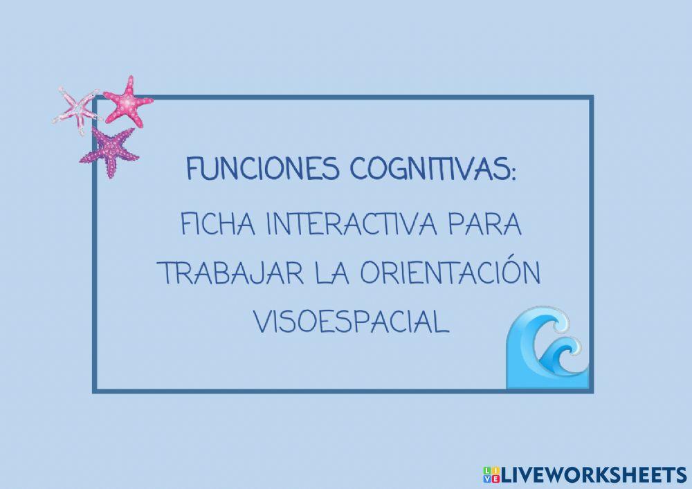 Orientación visoespacial