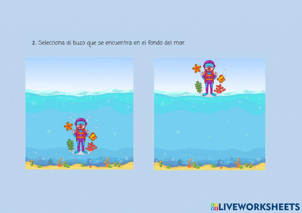 Orientación visoespacial