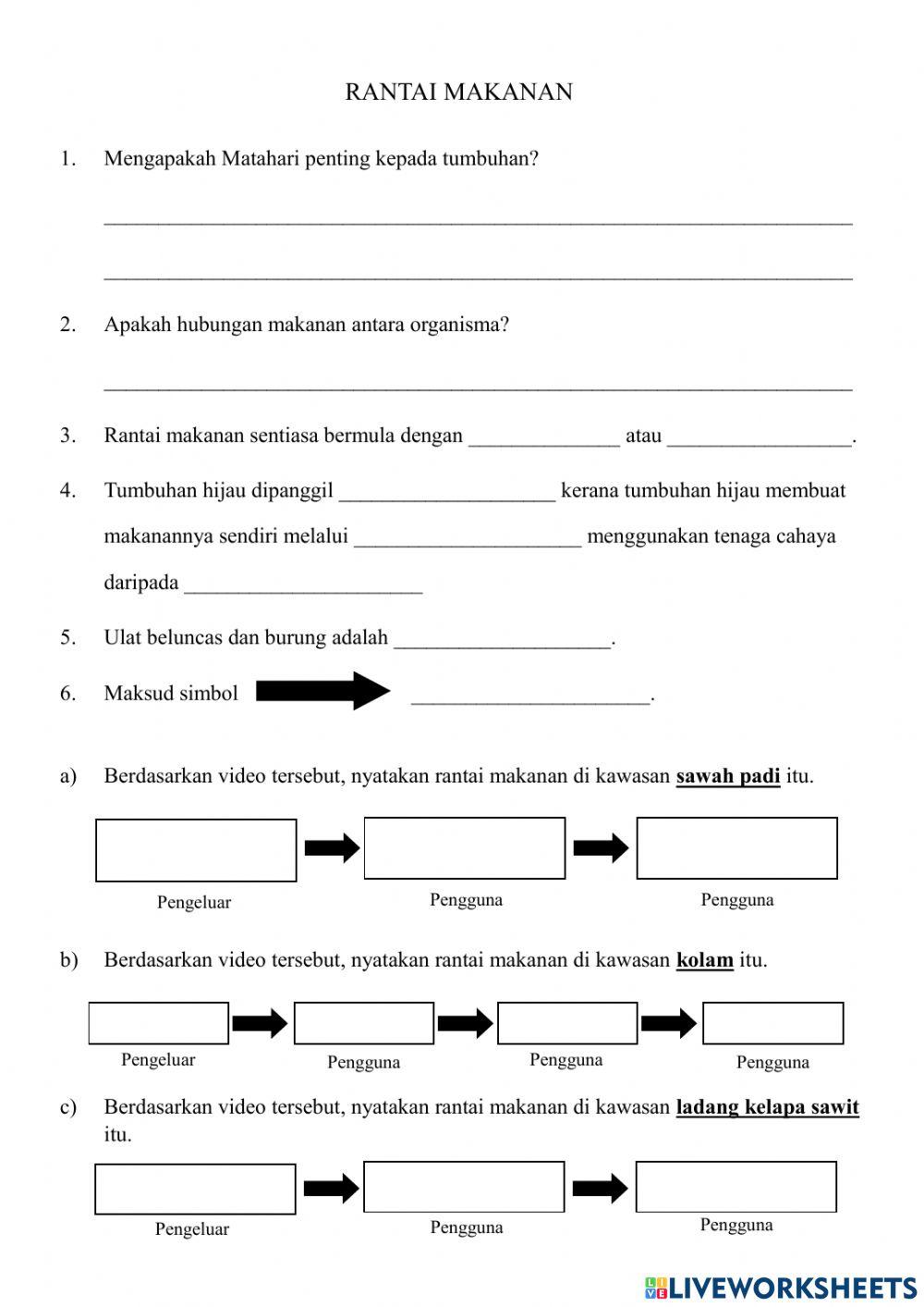 Rantai makanan & Siratan makanan