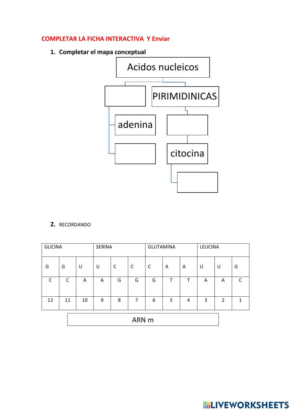 SINTESIS DE PROTEINAS