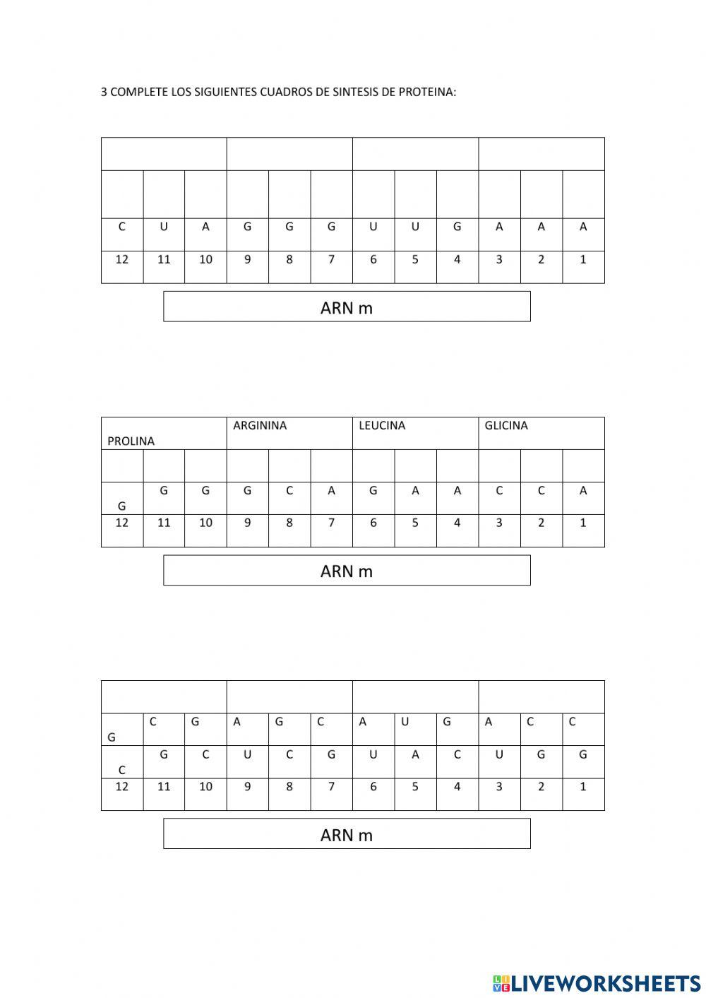 SINTESIS DE PROTEINAS