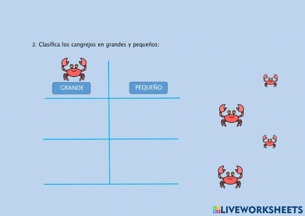 Trabajamos la atención con temática marina