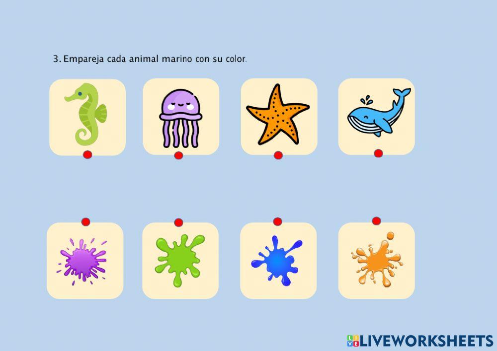 Trabajamos la atención con temática marina