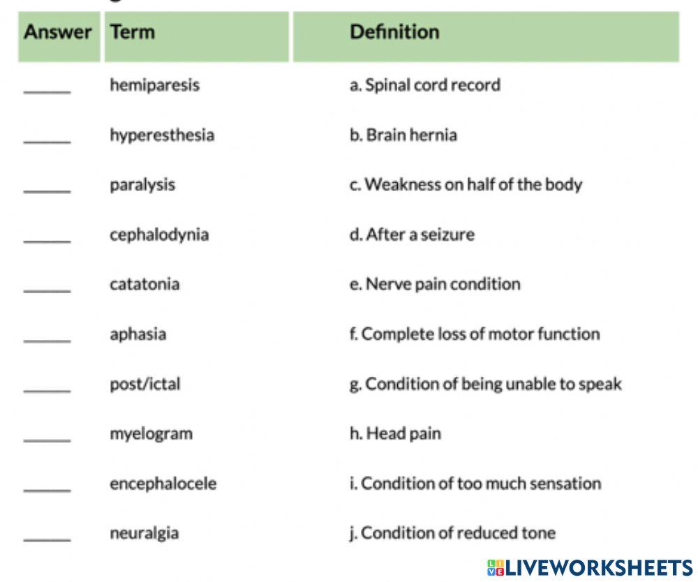 Medical Term Nervous System Disorders