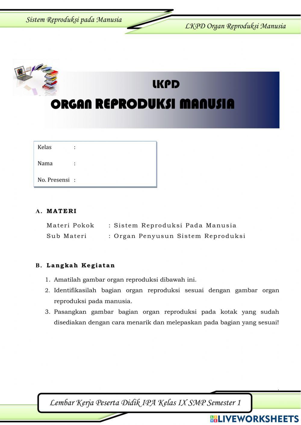 Sistem Reproduksi Manusia