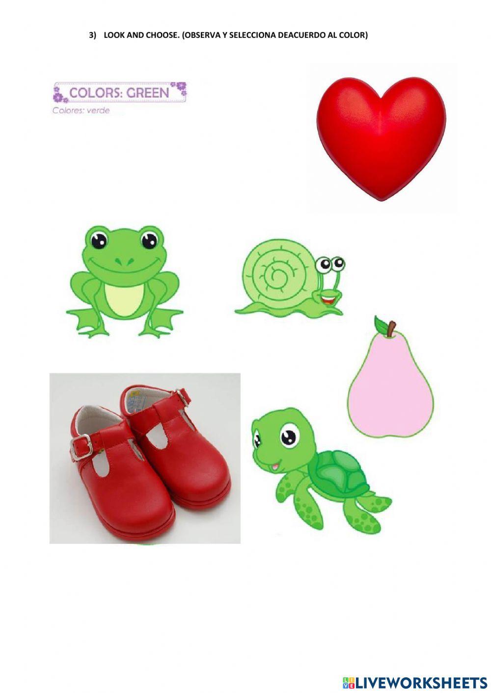 EVALUACIÓN BIMESTRAL CUATRO AÑOS