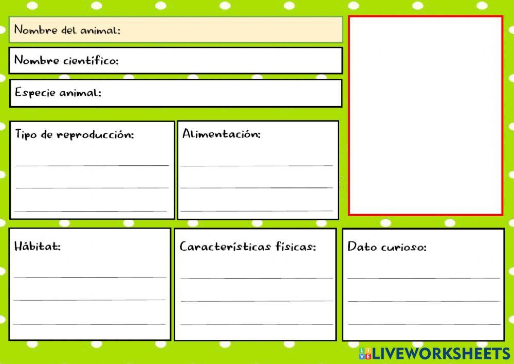 Ficha temática para completar