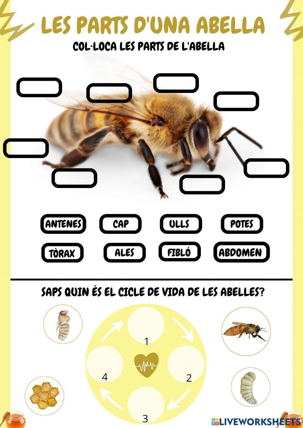 Les abelles Les abelles