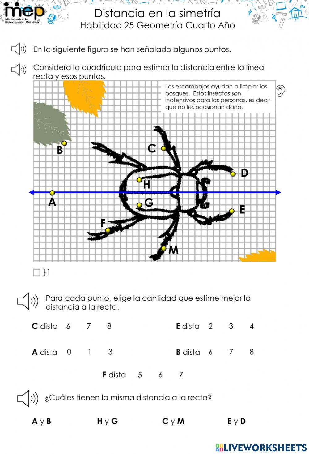 Distancia en la simetría