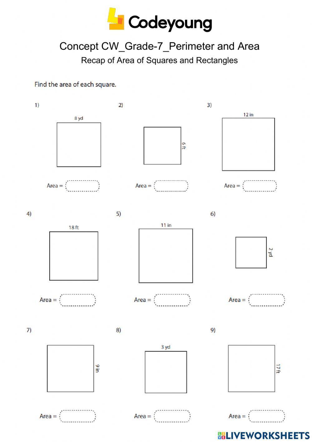 Recap of Area of Squares and Rectangles Concept CW