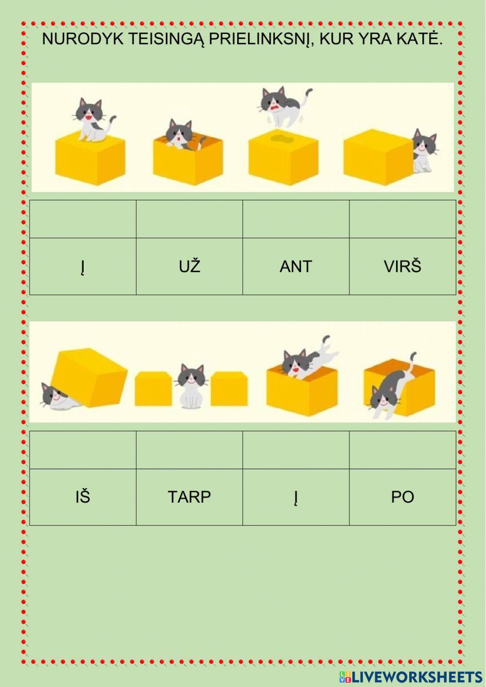 Prielinksnių vartojimas