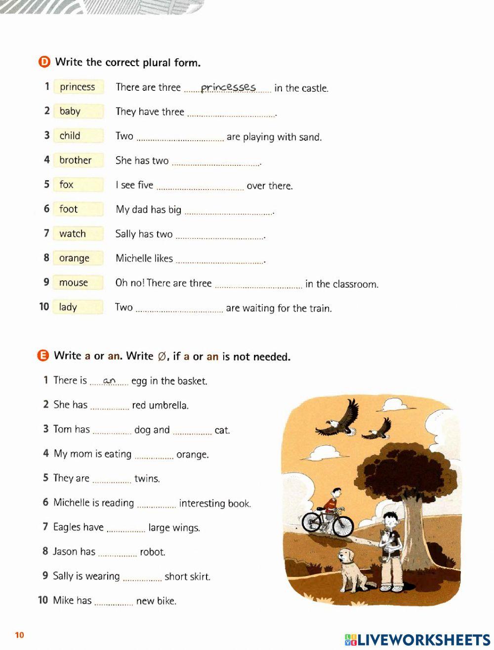 Singular & Plural nouns