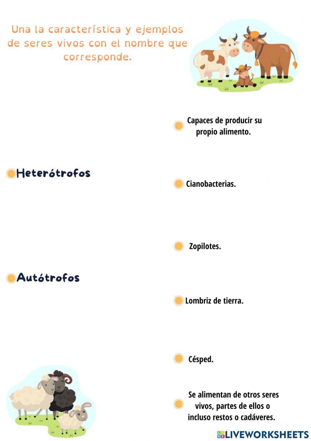 Autótrofos y Hetrótrofos