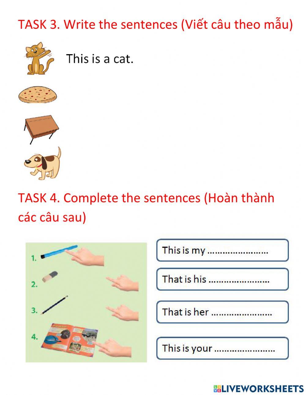 Grade 3 unit 2 lesson 4
