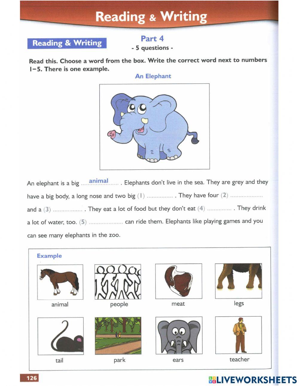 SUCCEED STARTERS TEST 7