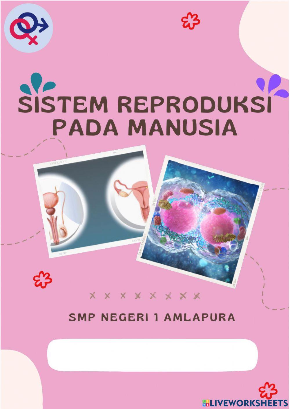 LKPD Sistem Reproduksi Bagian 1
