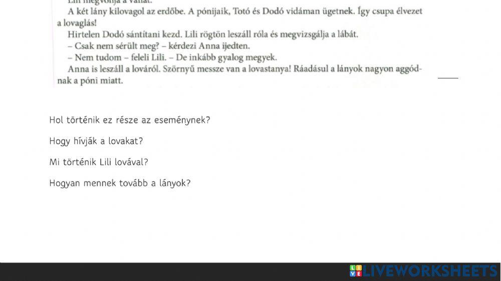 Új fiú - szövegértés