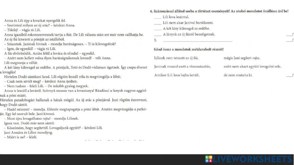 Új fiú - szövegértés