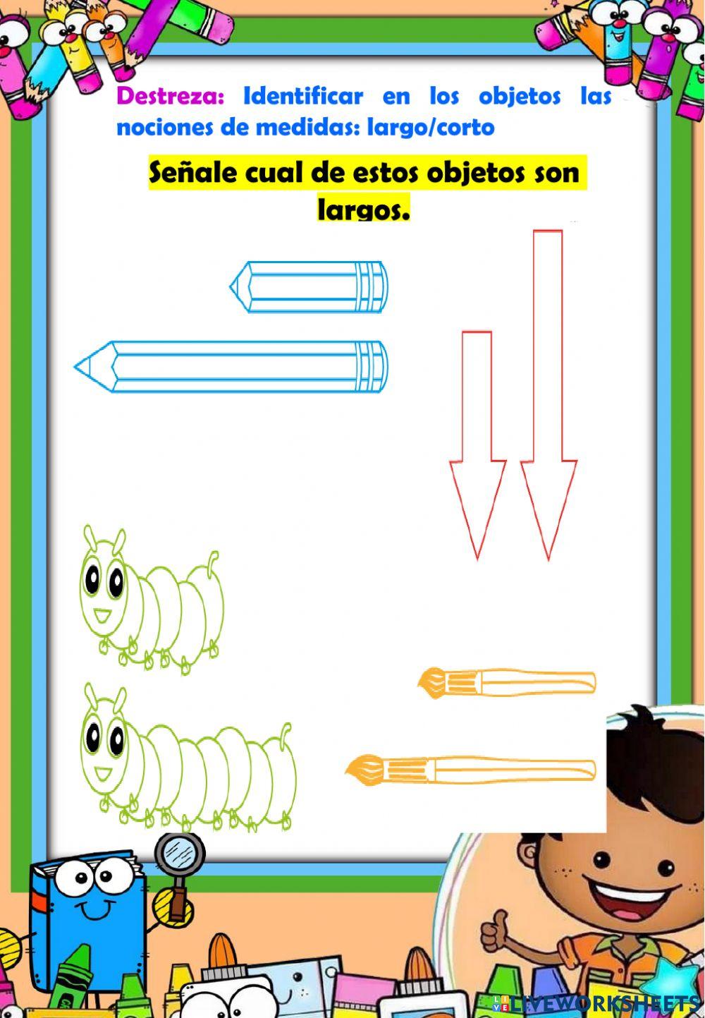 Ámbito Lógico matemática