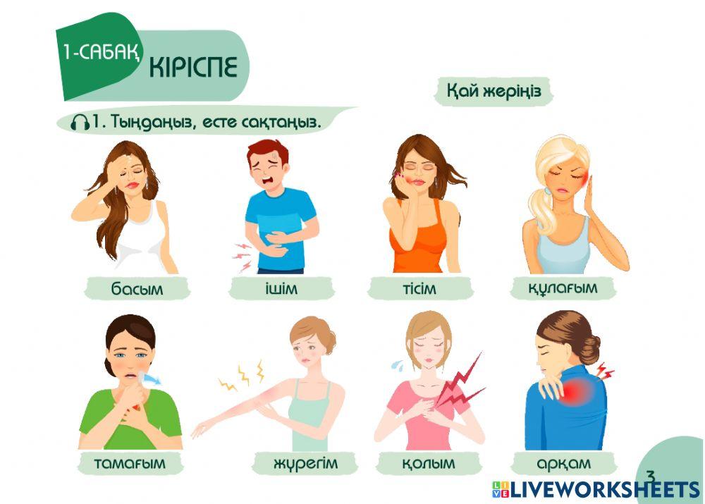 А2 24-сағаттық курс Денсаулық 1-сабақ. Қай жеріңіз ауырып тұр
